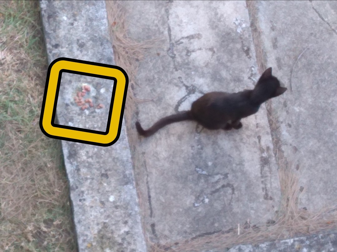 SquarePic_20200804_14224786.jpg SquarePic_20200804_14224786.jpg