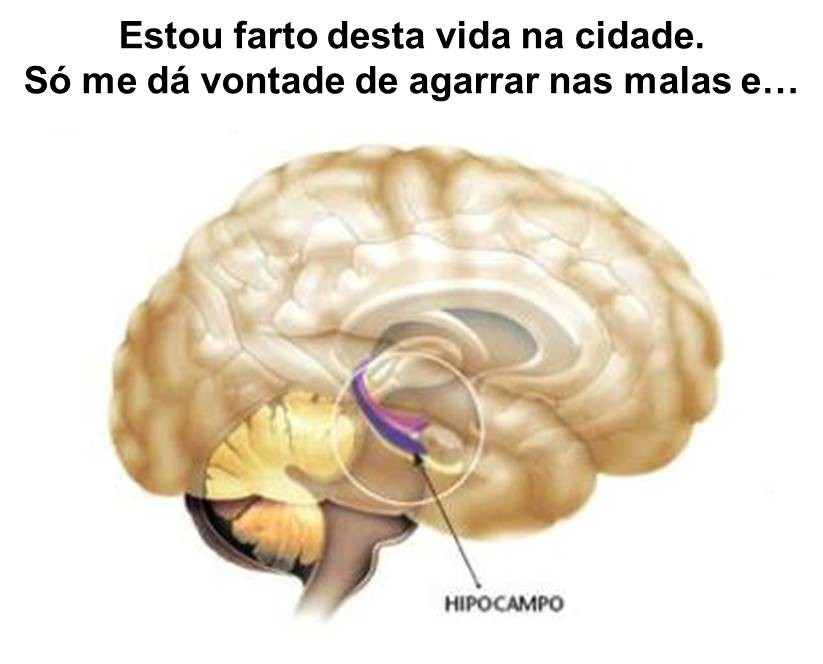 Campo.jpg