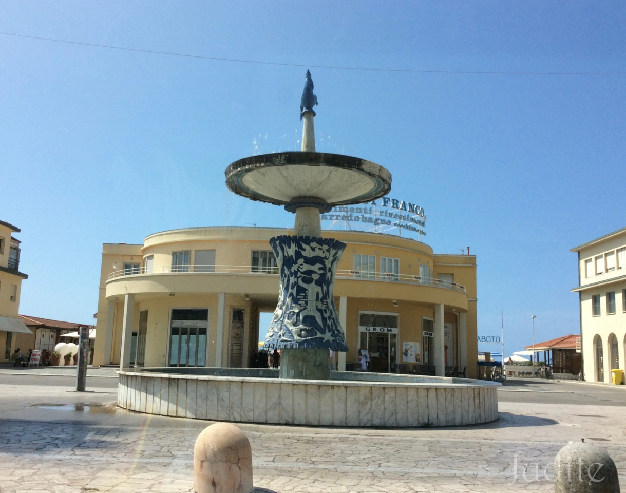 IMG_2229.jpg