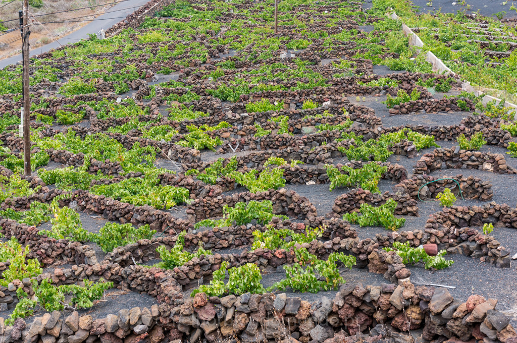 Lanzarote
