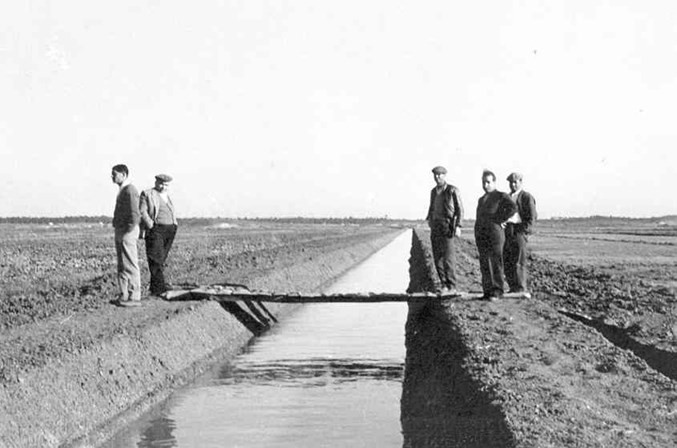 canal de rega.jpg