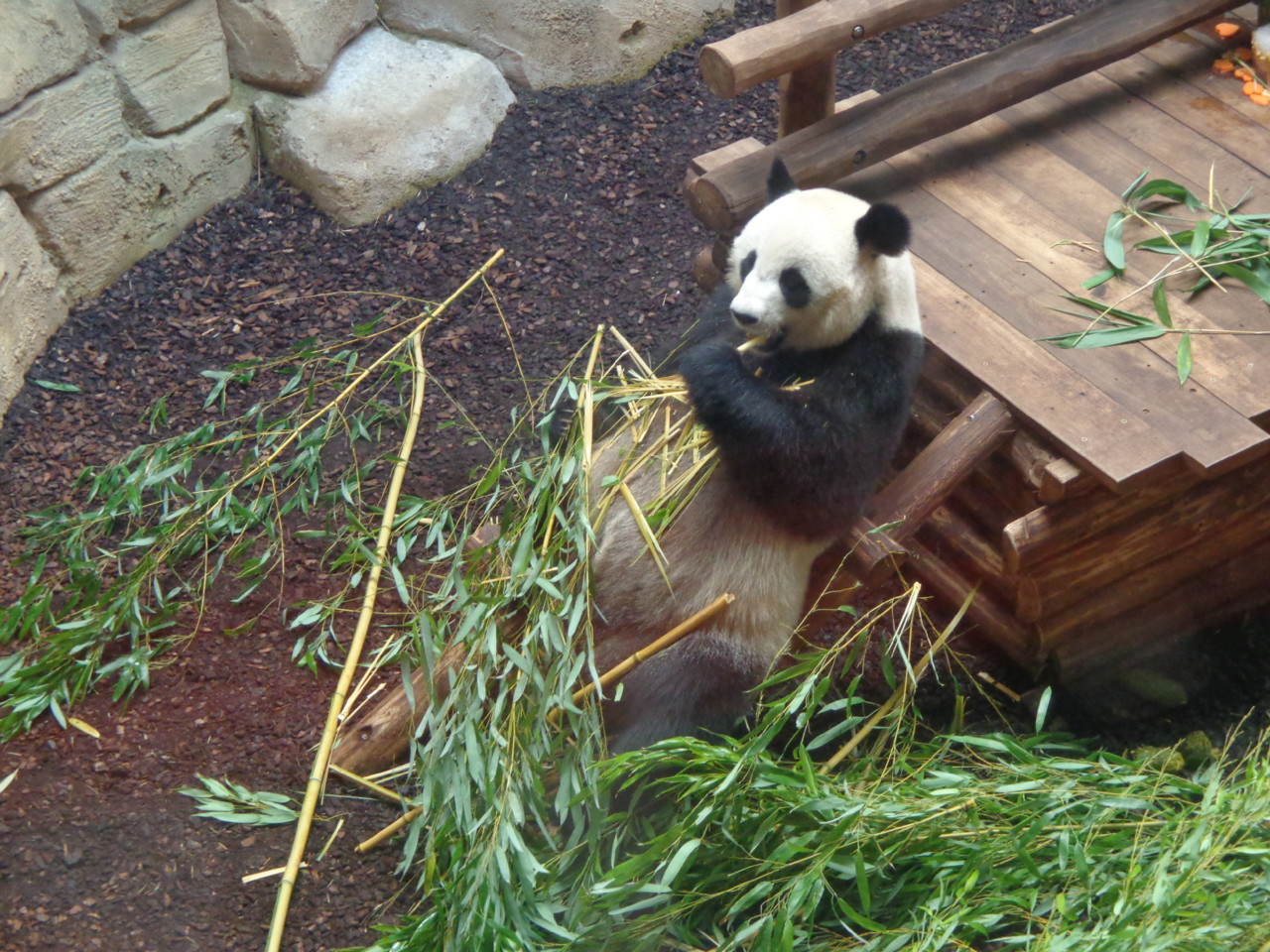 DSC05623.JPG