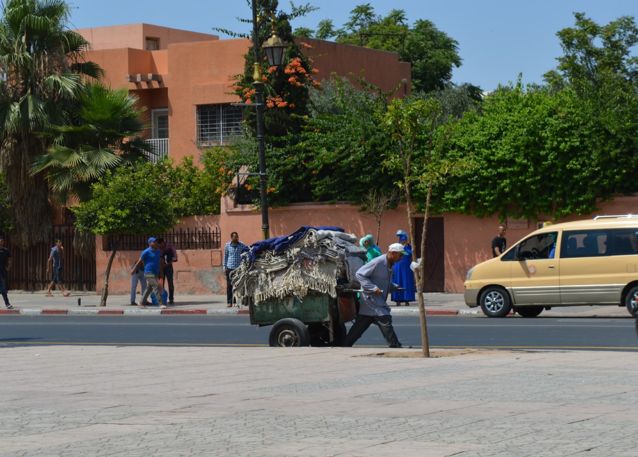 DSC_0433.JPG