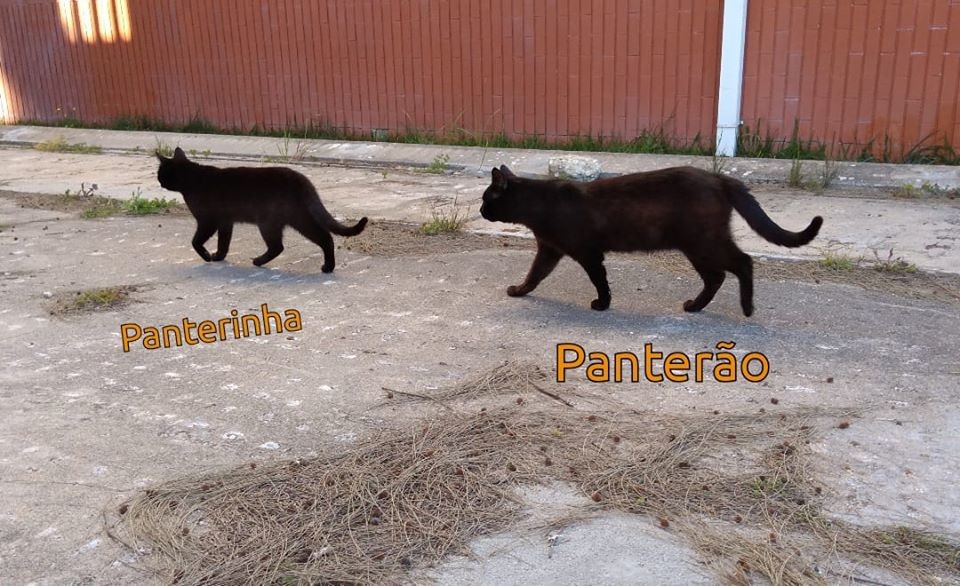 89101170_1253991171468015_992283998250074112_o[1].