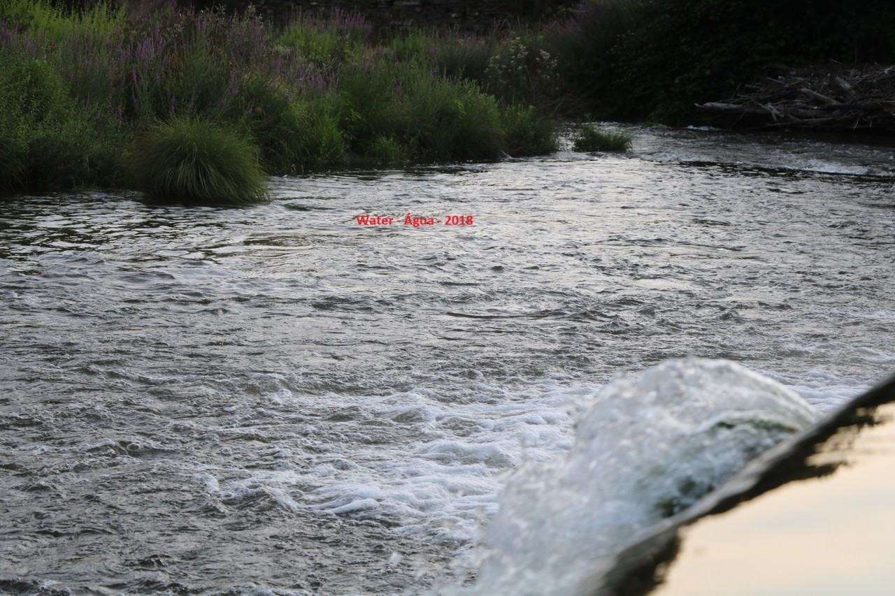 agua1.jpg agua1.jpg