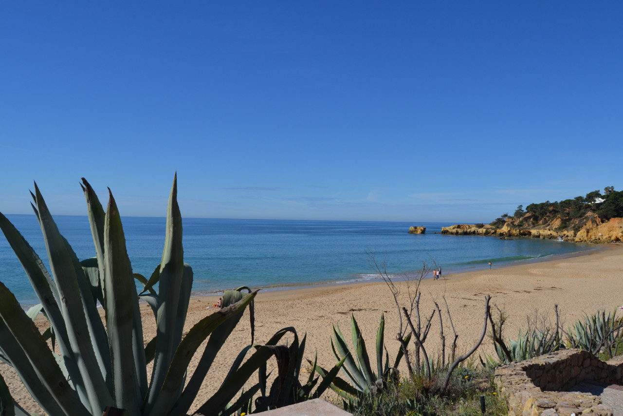 DSC_0078.jpg DSC_0078.jpg