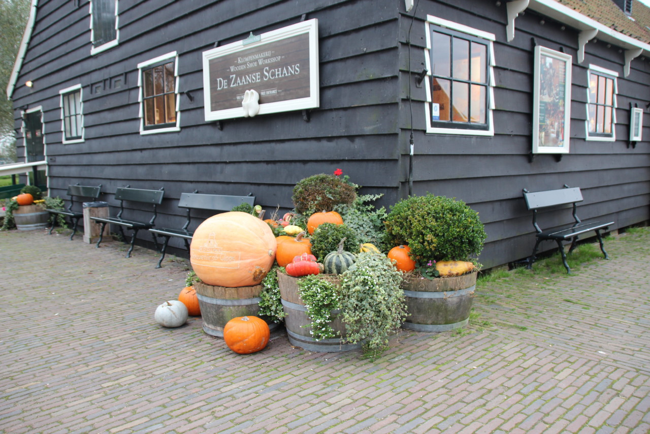 IMG_1125.JPG IMG_1125.JPG
