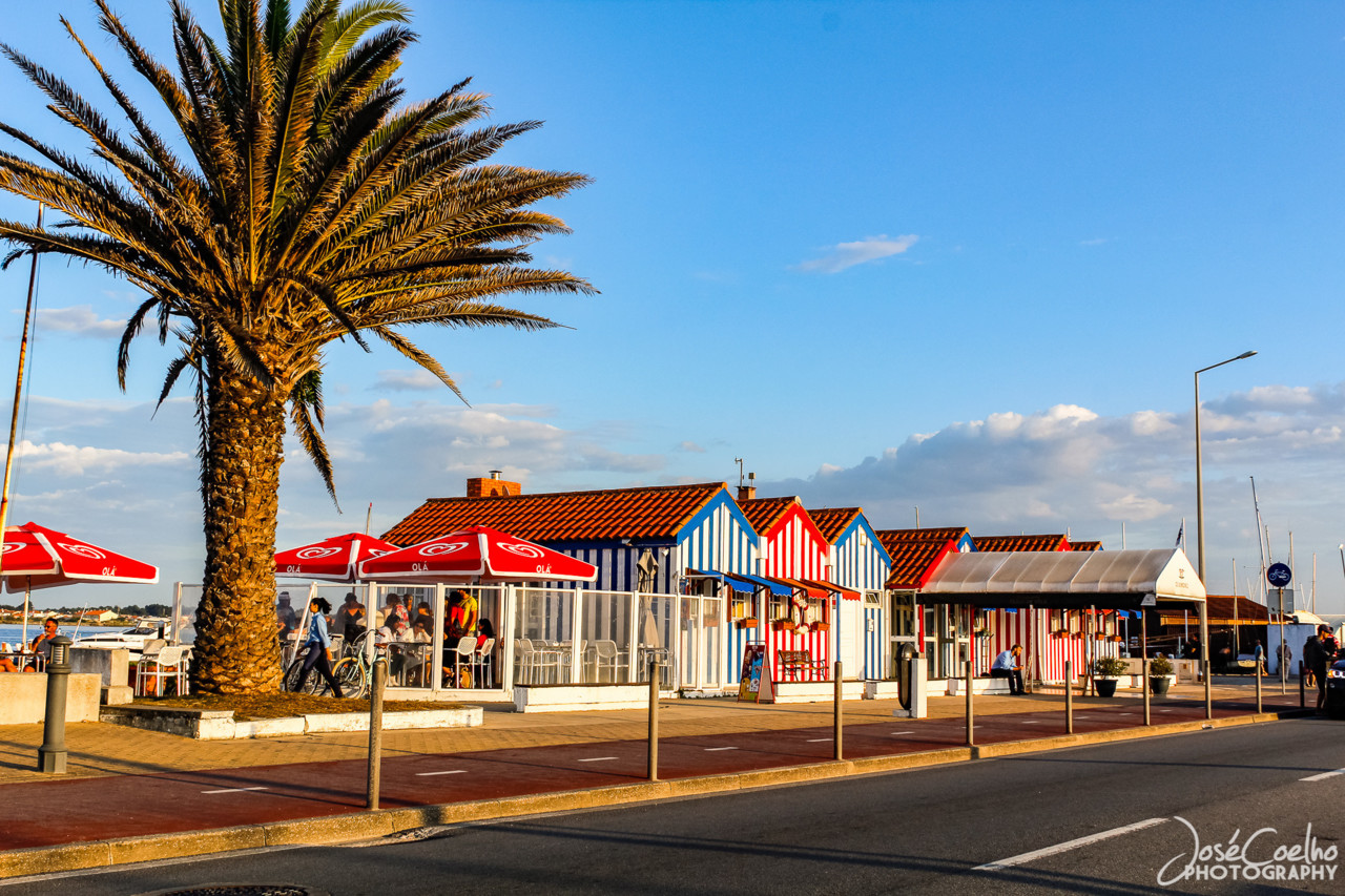 costa nova (2).jpg costa nova (2).jpg