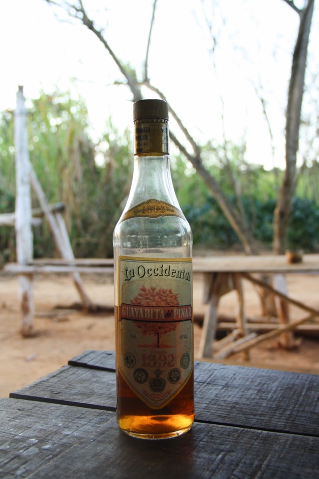 vinales-guayabita.jpg