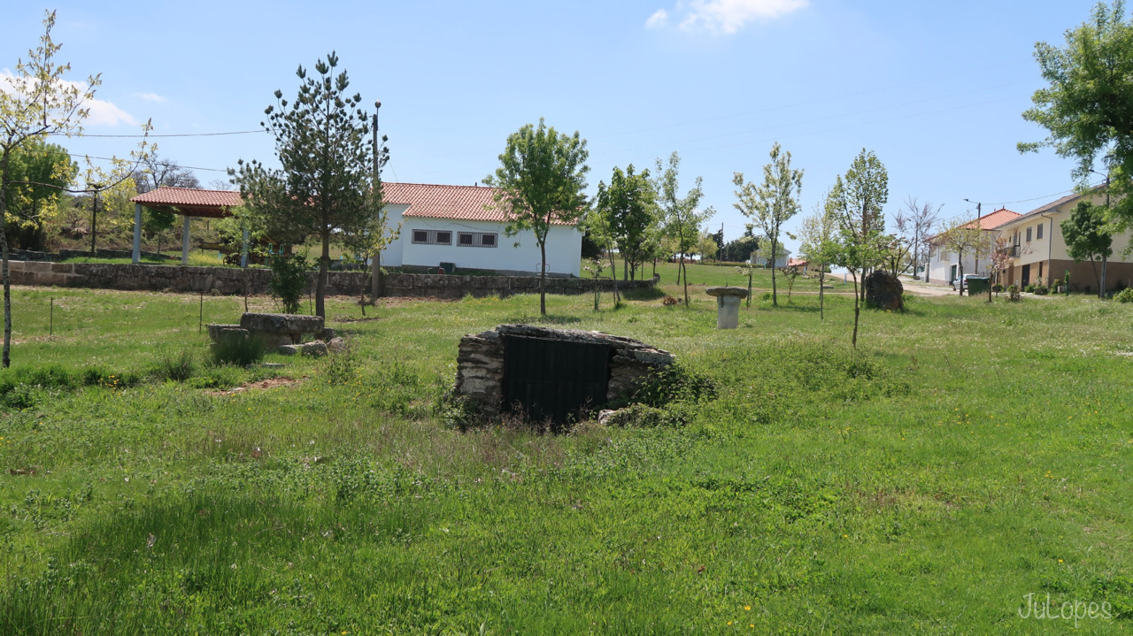 IMG_1564.jpg