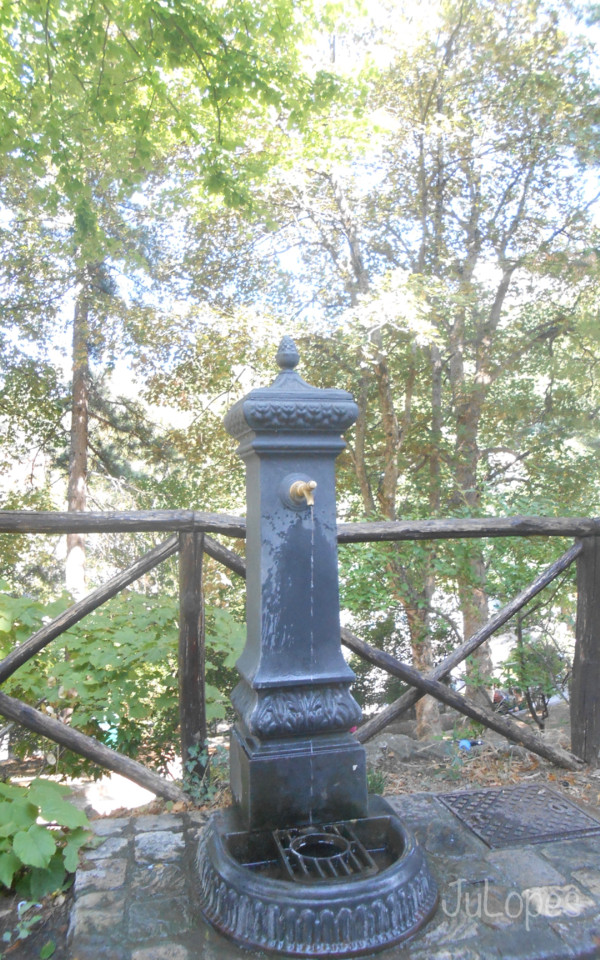 6agosto2015.jpg