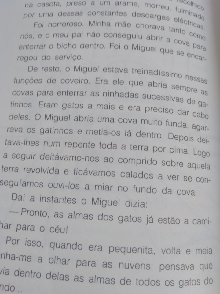 IMG_20181124_113602 (3).jpg