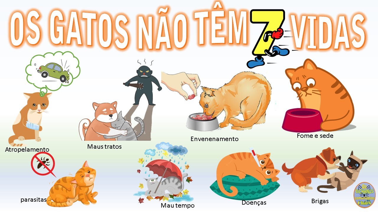 gatos7vidas.jpg
