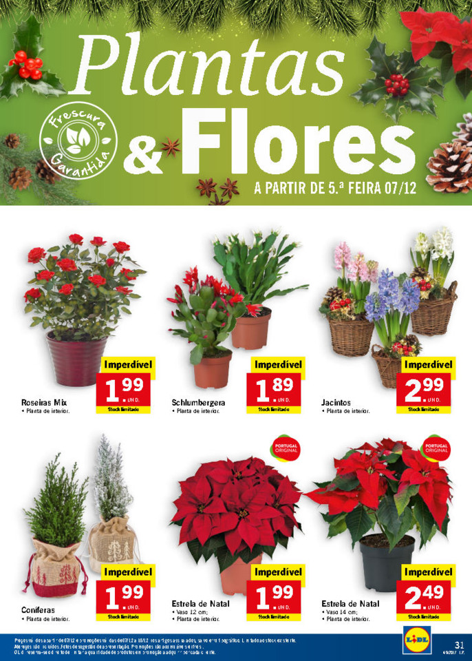 lidl folheto_Page31.jpg