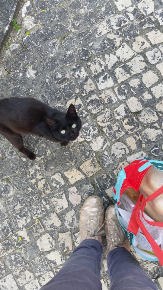 20190422_155106.jpg 20190422_155106.jpg