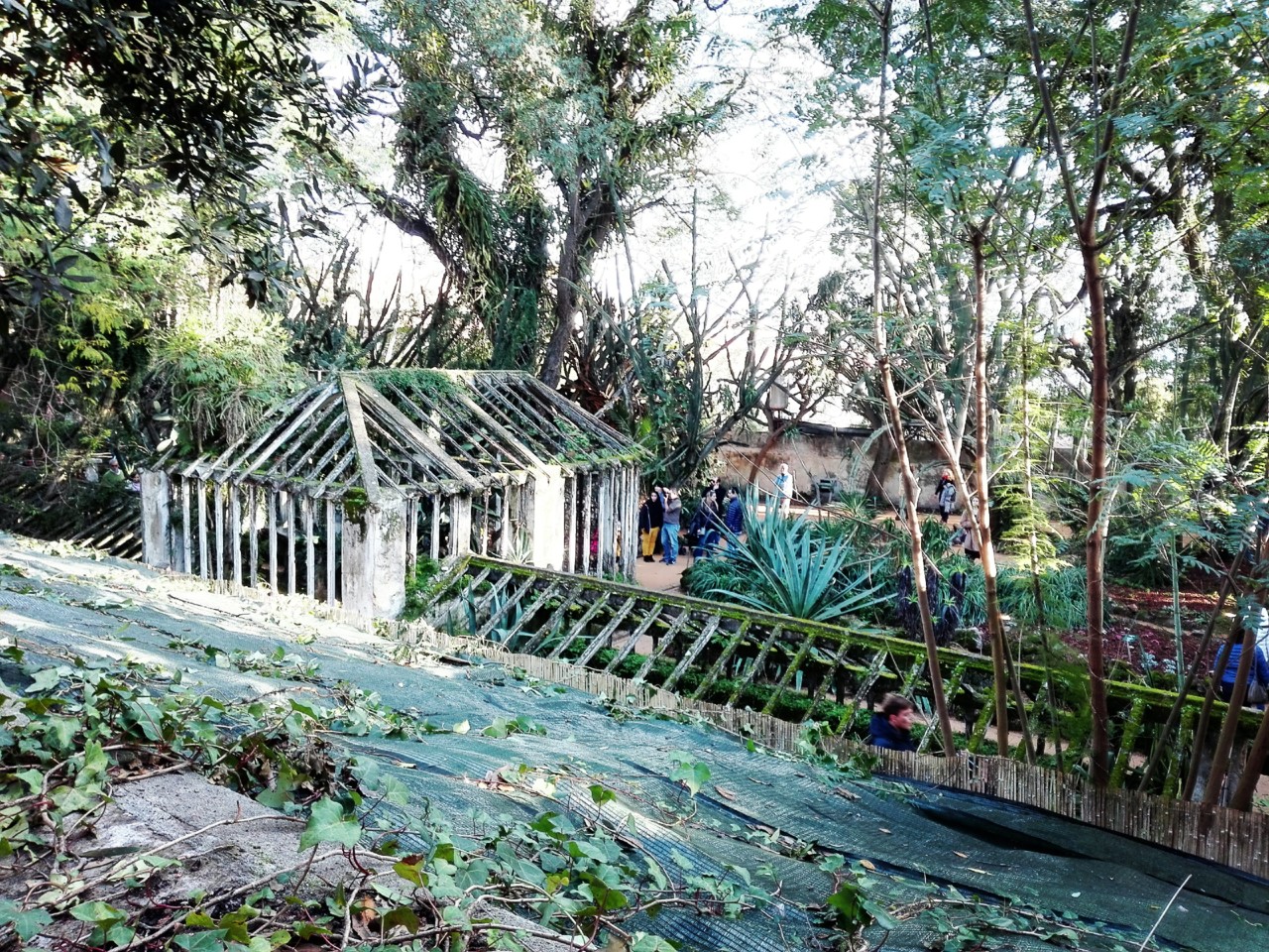 jardim tropical belem (13).jpg