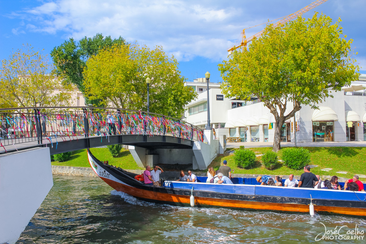 aveiro (22).jpg aveiro (22).jpg