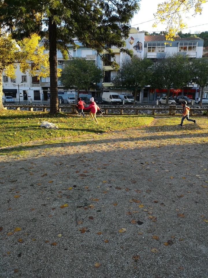 IMG_20201203_082332.jpg