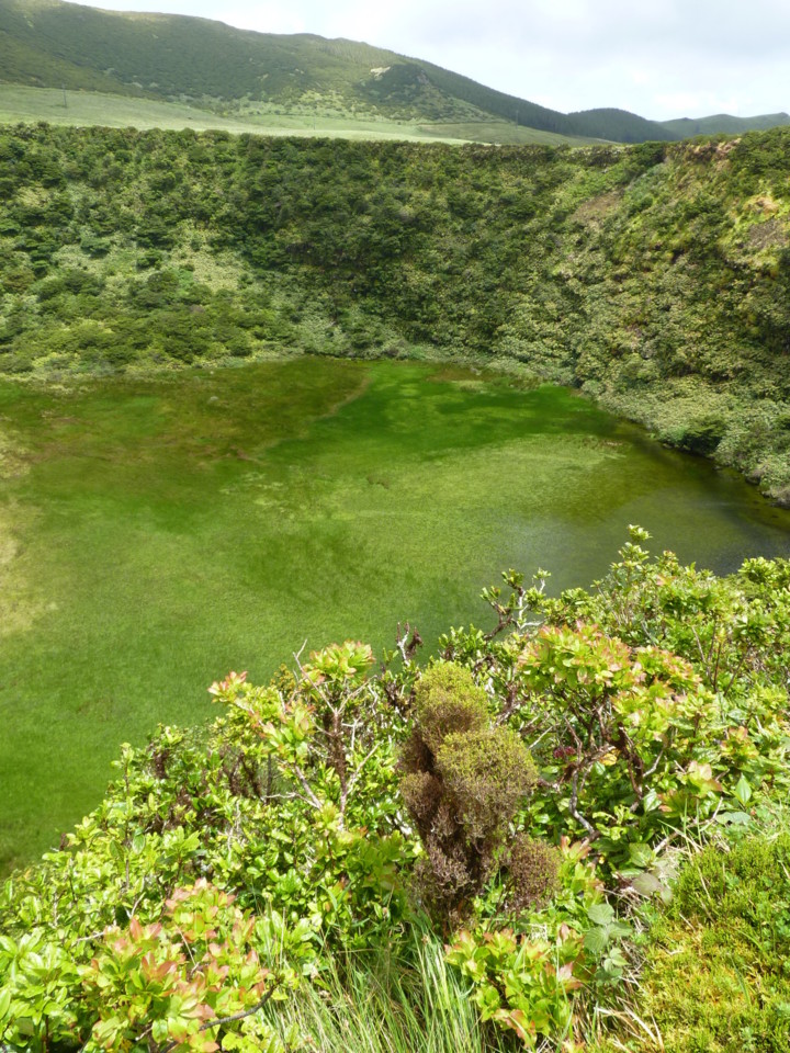 Lagoa Seca, Flores (4).JPG