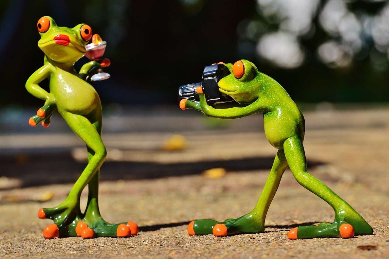 frog-881654_1280.jpg