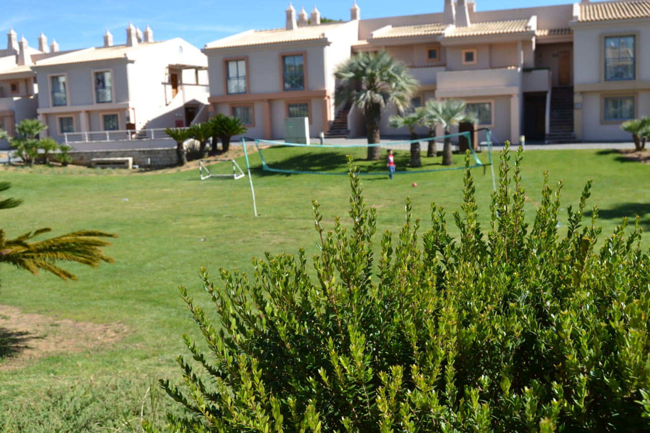 DSC_0011.jpg DSC_0011.jpg