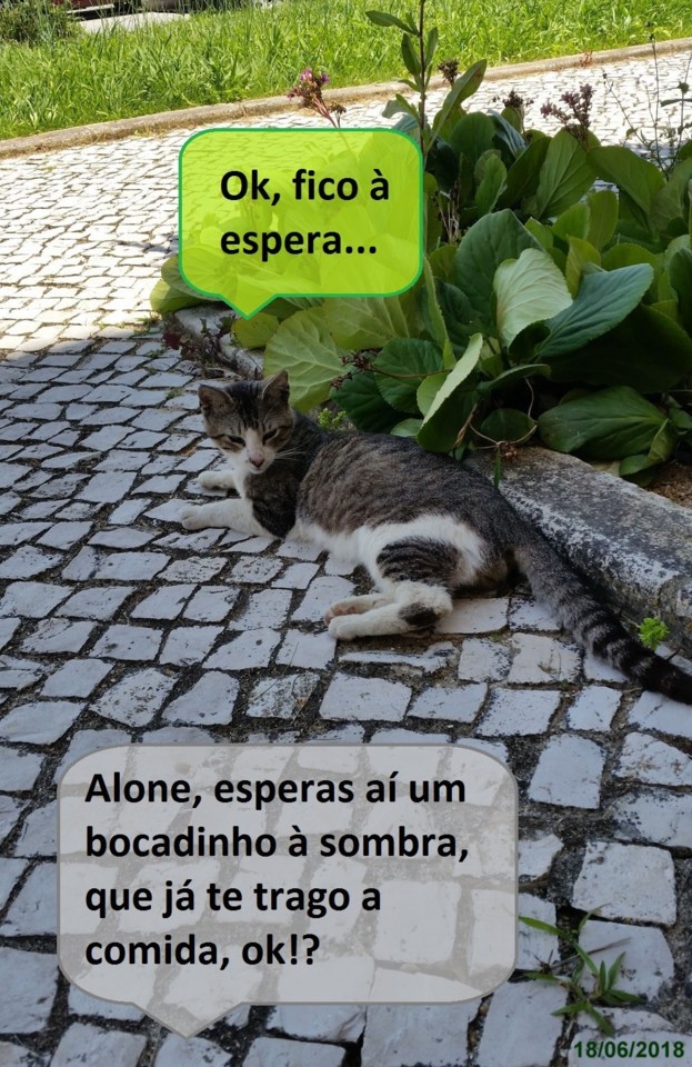 esperasombra.jpg esperasombra.jpg