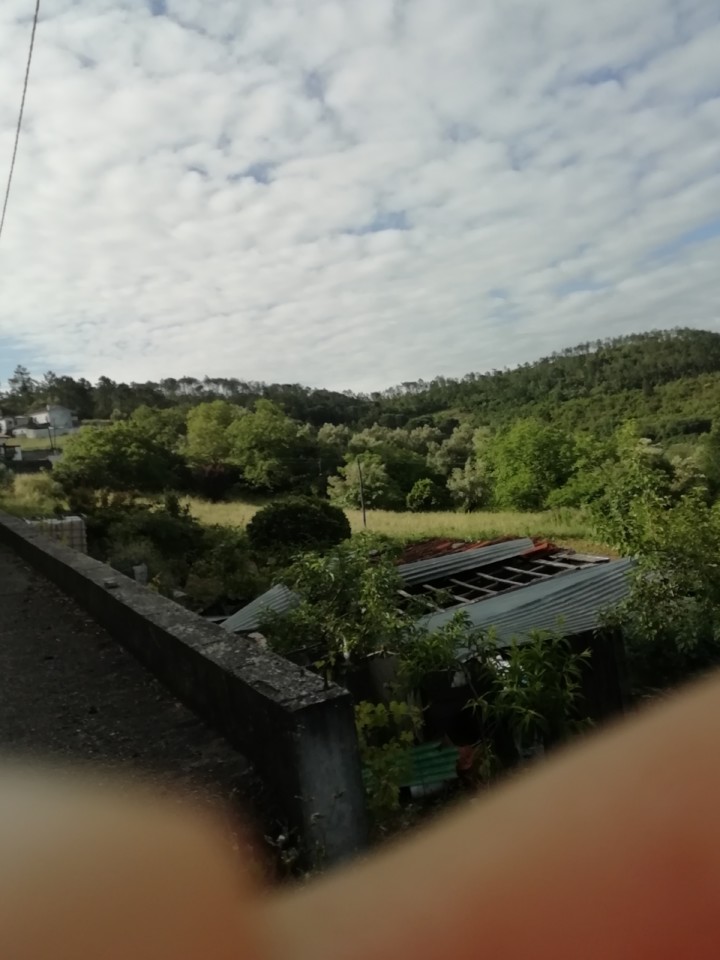 IMG_20190518_085004.jpg
