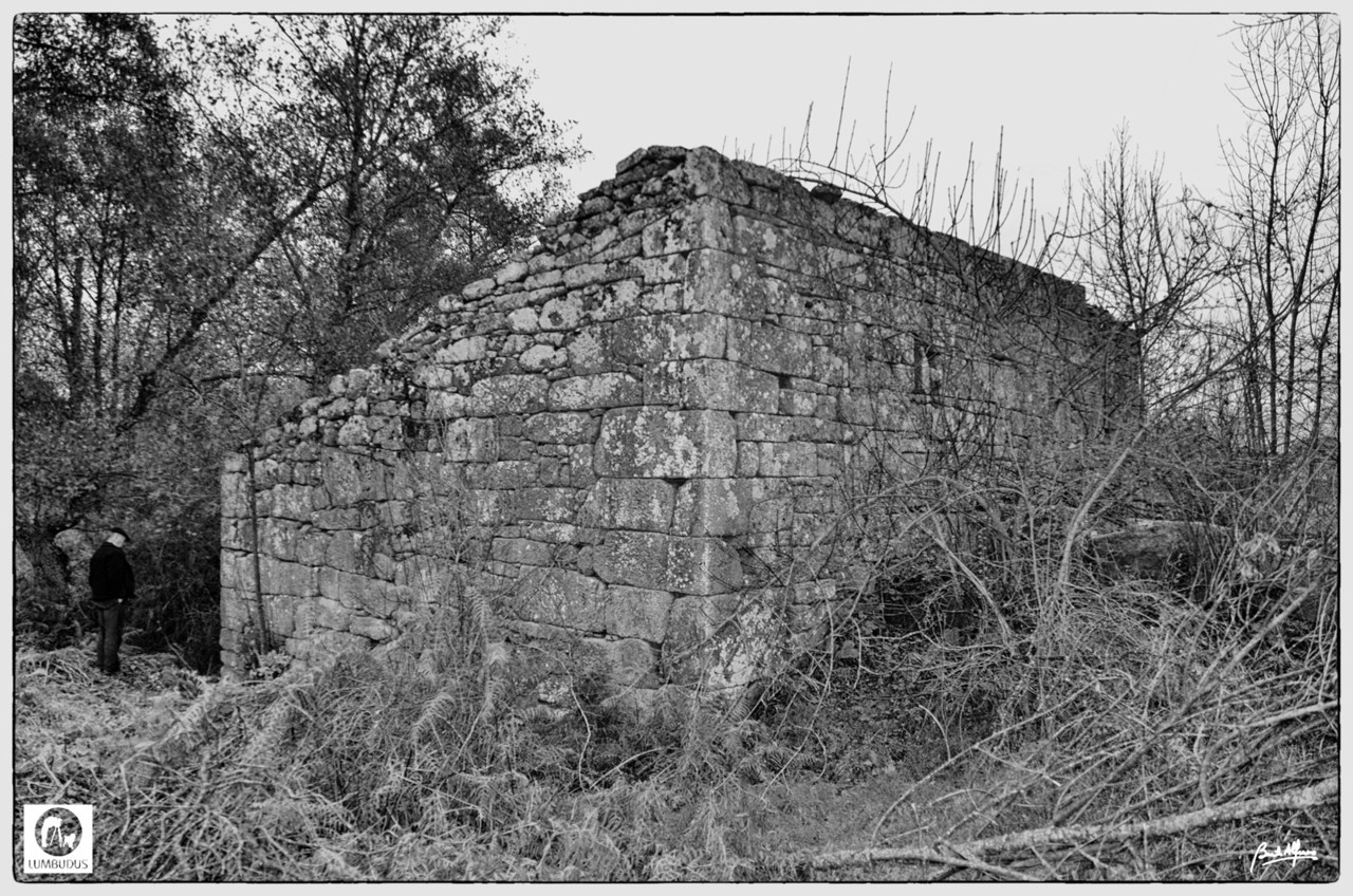 BER_1414ac.jpg