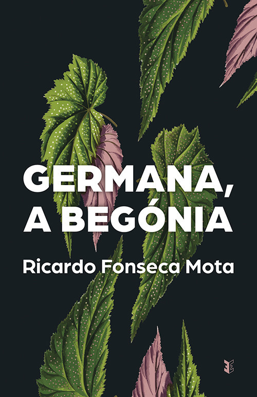 begonia.jpg begonia.jpg
