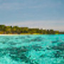jaco-island-timor-leste-ari-saaski.jpg