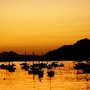 Amanhecer no Rio -  Ba&iacute;a de Guanabara nesta quart