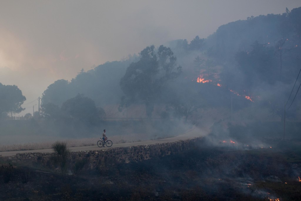Homem observa incêndio em Condeixa, Portugal. Pau