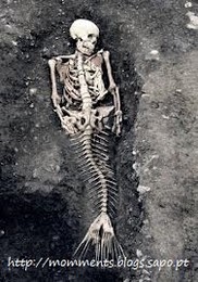 esqueleto.jpg