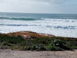 IMG_20201214_134224.jpg