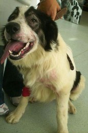 fb_s153TWiBjwZkgKORZGgw