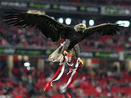 &Aacute;guia Vit&oacute;ria.jpg