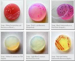 petri_soaps.png