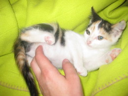 fb_sLW2ISDawLTjIKOmZhSg