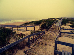 SAM_2717_edited.jpg
