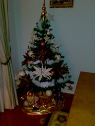 árvore de natal.jpg