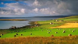 www.FOTOFRONTERA.com - Landscapes - Verdes prados.