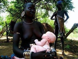 378701_282454885125440_258831957487733_699979_1185