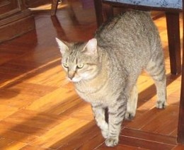 fb_zC8ZV04BmkKPTRIcm0ms