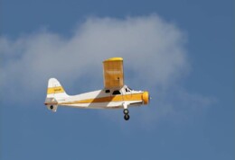 DeHavilland Beaver_JAS_15Jan22.jpg