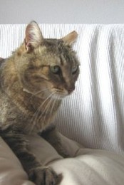 fb_bJAYdMzt7EmPjJa7myzB