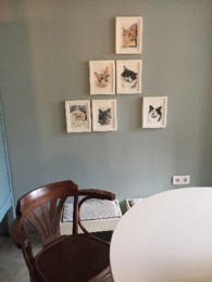IMG_1981.JPG IMG_1981.JPG