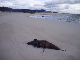 C:\Documents and Settings\Administrador\Ambiente d