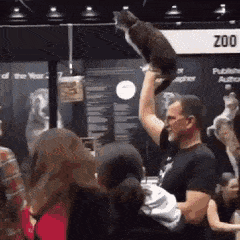 JoyousThornyGerenuk-max-1mb.gif JoyousThornyGerenuk-max-1mb.gif