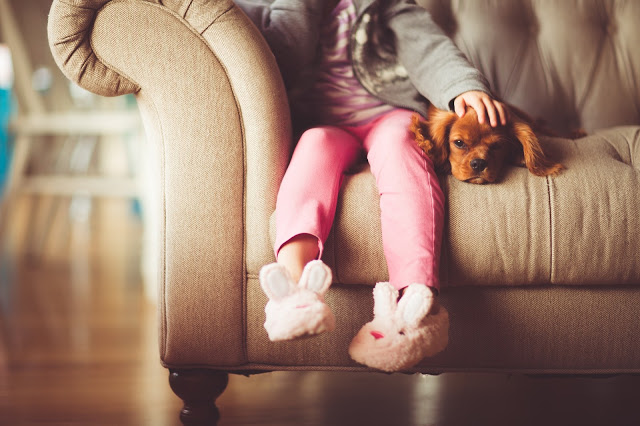 home sweet home, decoração, inspiração para casa, casa, sofá, menina e o seu cão, 